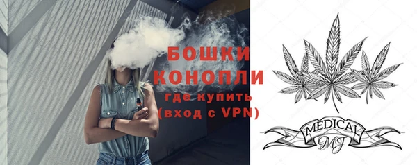 гидропоника Елабуга