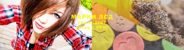 гидропоника Елабуга