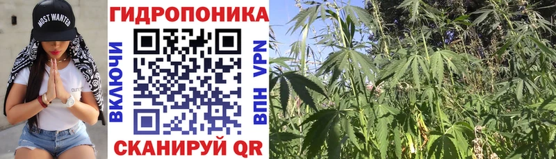 МАРИХУАНА тримм  Купить где  Вилюйск 